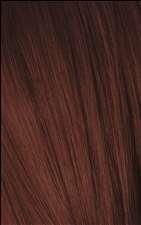 Schwarzkopf Igora Royal - 4-88 Medium Brown Red Extra - Schwarzkopf