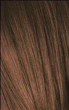 Schwarzkopf Igora Royal - 6-65 Dark Blonde Chocolate Gold - Schwarzkopf