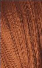 Schwarzkopf Igora Royal - 6-77 Dark Blonde Copper Extra - Schwarzkopf