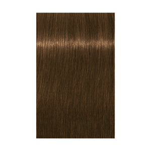 Schwarzkopf Absolute Igora Royal 7-140