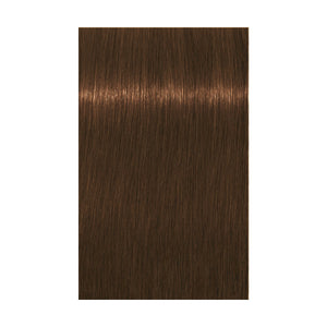 Schwarzkopf Absolute Igora Royal 7-460