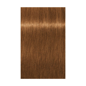 Schwarzkopf Absolute Igora Royal 9-470